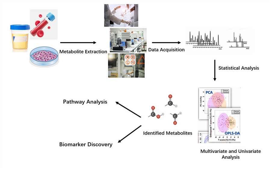 Our metabolic services by Alfa Cytology